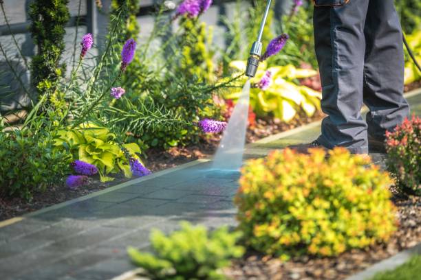 Best Patio and Deck Pressure Washing  in South Farmingdale, NY